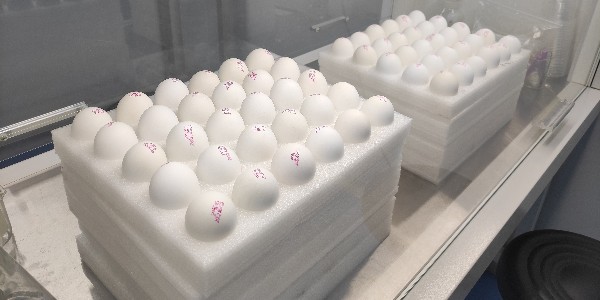 微生物實驗室